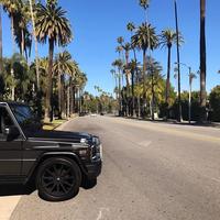 Отзыв от Егор - DTV виза